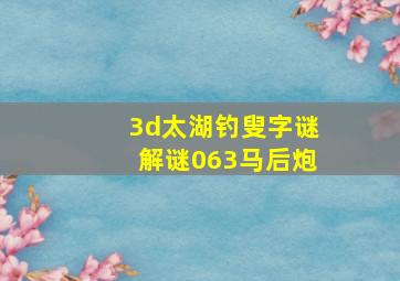 3d太湖钓叟字谜解谜063马后炮