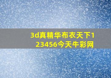 3d真精华布衣天下123456今天牛彩网