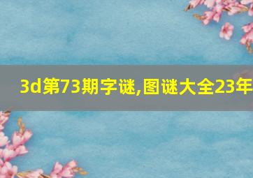 3d第73期字谜,图谜大全23年