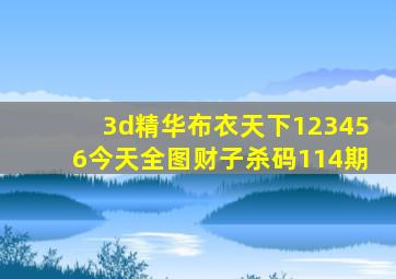 3d精华布衣天下123456今天全图财子杀码114期