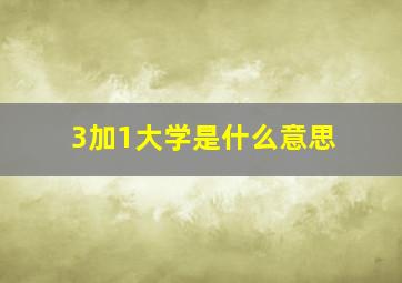 3加1大学是什么意思