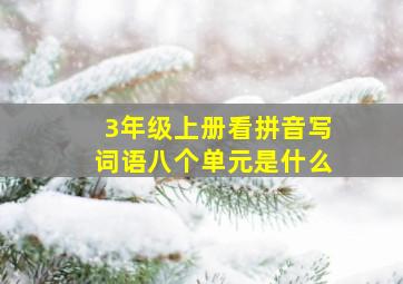 3年级上册看拼音写词语八个单元是什么