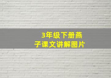 3年级下册燕子课文讲解图片