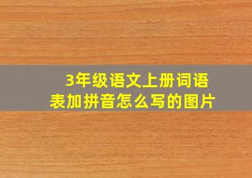 3年级语文上册词语表加拼音怎么写的图片