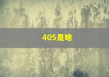 405是啥