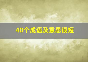 40个成语及意思很短