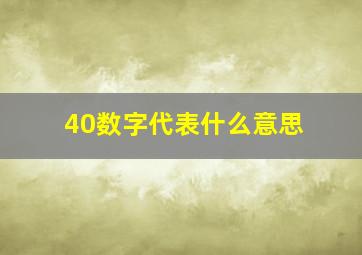 40数字代表什么意思