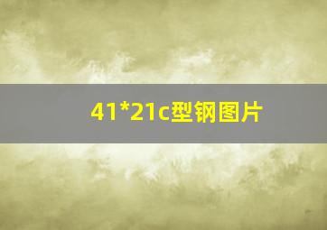 41*21c型钢图片