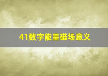 41数字能量磁场意义