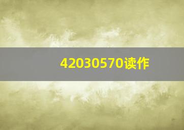 42030570读作