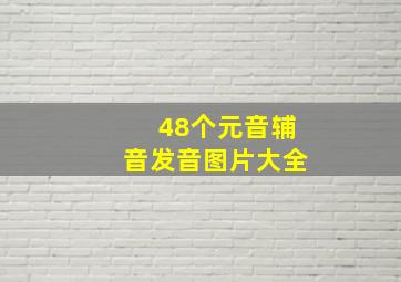 48个元音辅音发音图片大全