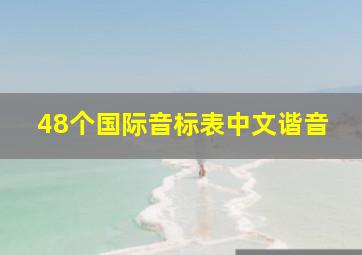 48个国际音标表中文谐音