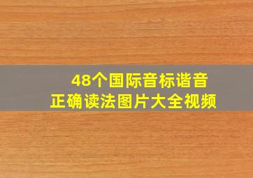 48个国际音标谐音正确读法图片大全视频