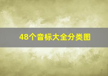 48个音标大全分类图