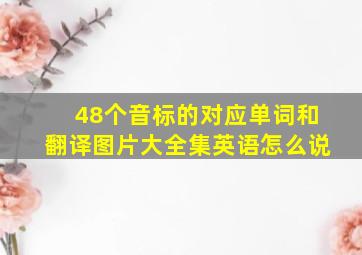 48个音标的对应单词和翻译图片大全集英语怎么说