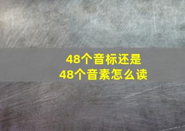 48个音标还是48个音素怎么读