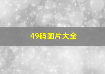 49码图片大全