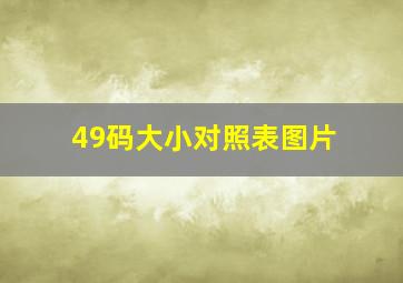 49码大小对照表图片