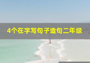 4个在字写句子造句二年级