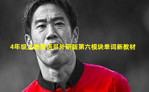 4年级上册英语书外研版第六模块单词新教材