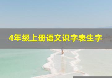 4年级上册语文识字表生字