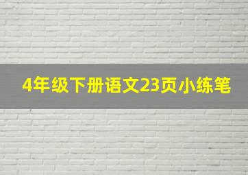 4年级下册语文23页小练笔