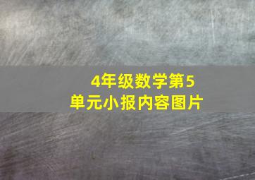 4年级数学第5单元小报内容图片