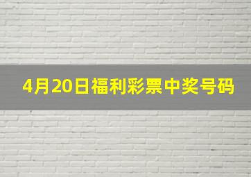 4月20日福利彩票中奖号码