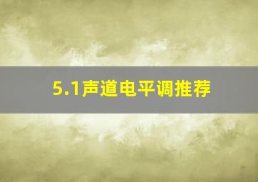 5.1声道电平调推荐