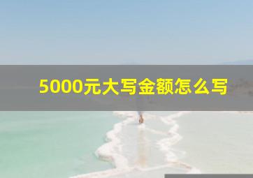 5000元大写金额怎么写