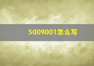 5009001怎么写