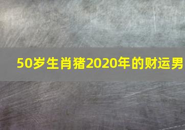 50岁生肖猪2020年的财运男