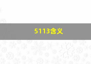 5113含义