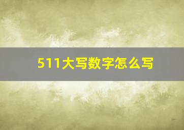 511大写数字怎么写