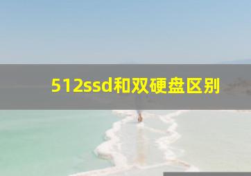 512ssd和双硬盘区别