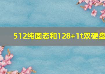 512纯固态和128+1t双硬盘