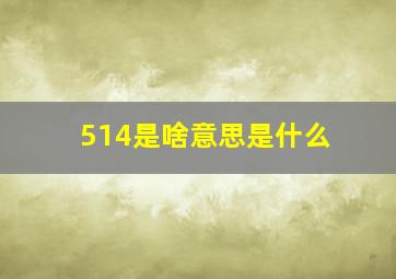 514是啥意思是什么