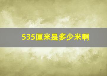 535厘米是多少米啊