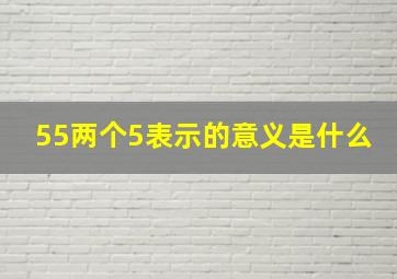 55两个5表示的意义是什么