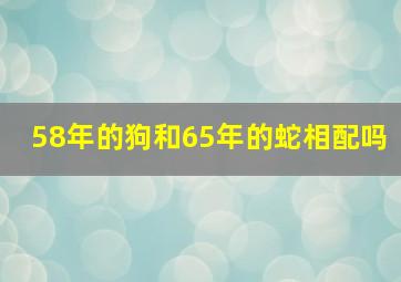 58年的狗和65年的蛇相配吗