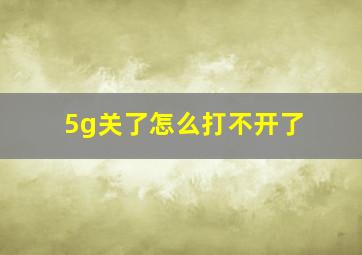 5g关了怎么打不开了