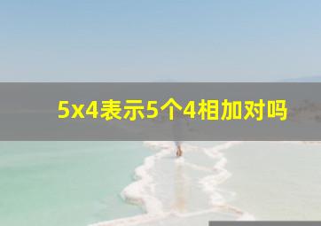 5x4表示5个4相加对吗