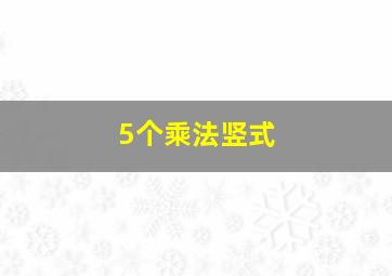 5个乘法竖式