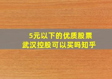 5元以下的优质股票武汉控股可以买吗知乎