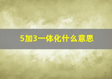 5加3一体化什么意思