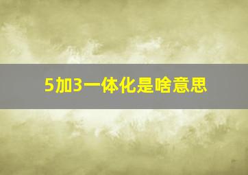 5加3一体化是啥意思