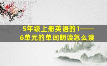 5年级上册英语的1――6单元的单词朗读怎么读