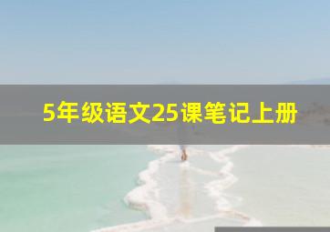 5年级语文25课笔记上册