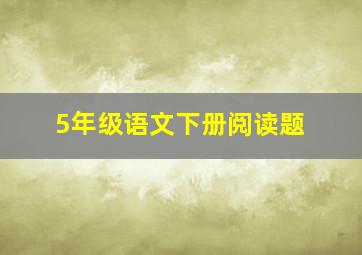 5年级语文下册阅读题