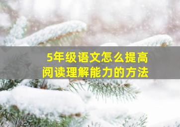 5年级语文怎么提高阅读理解能力的方法